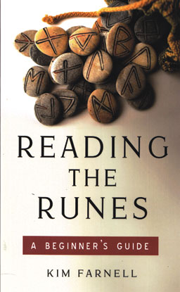 Reading the Runes, Beginner's Guide by Kim Farnell - Click Image to Close